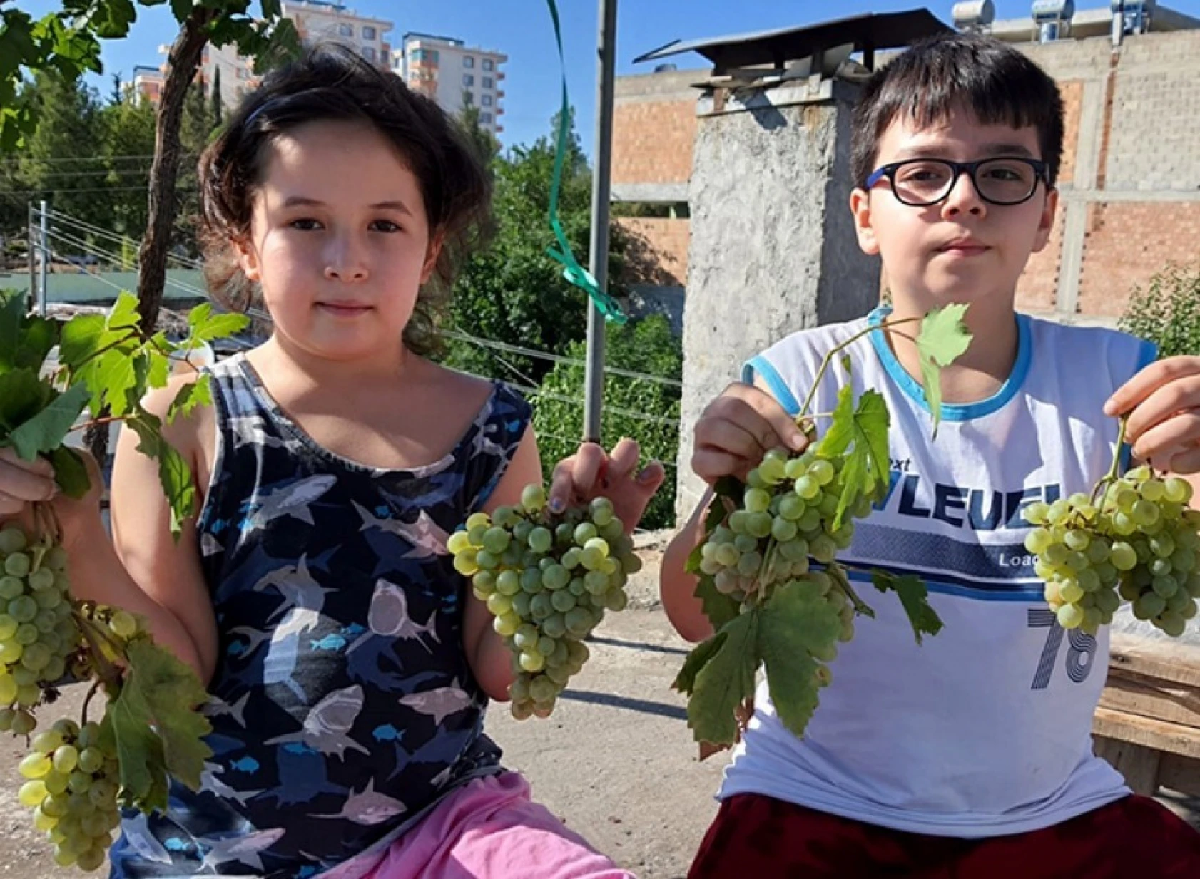 Şifa deposu üzüm pekmezinin sofralara yolculuğu