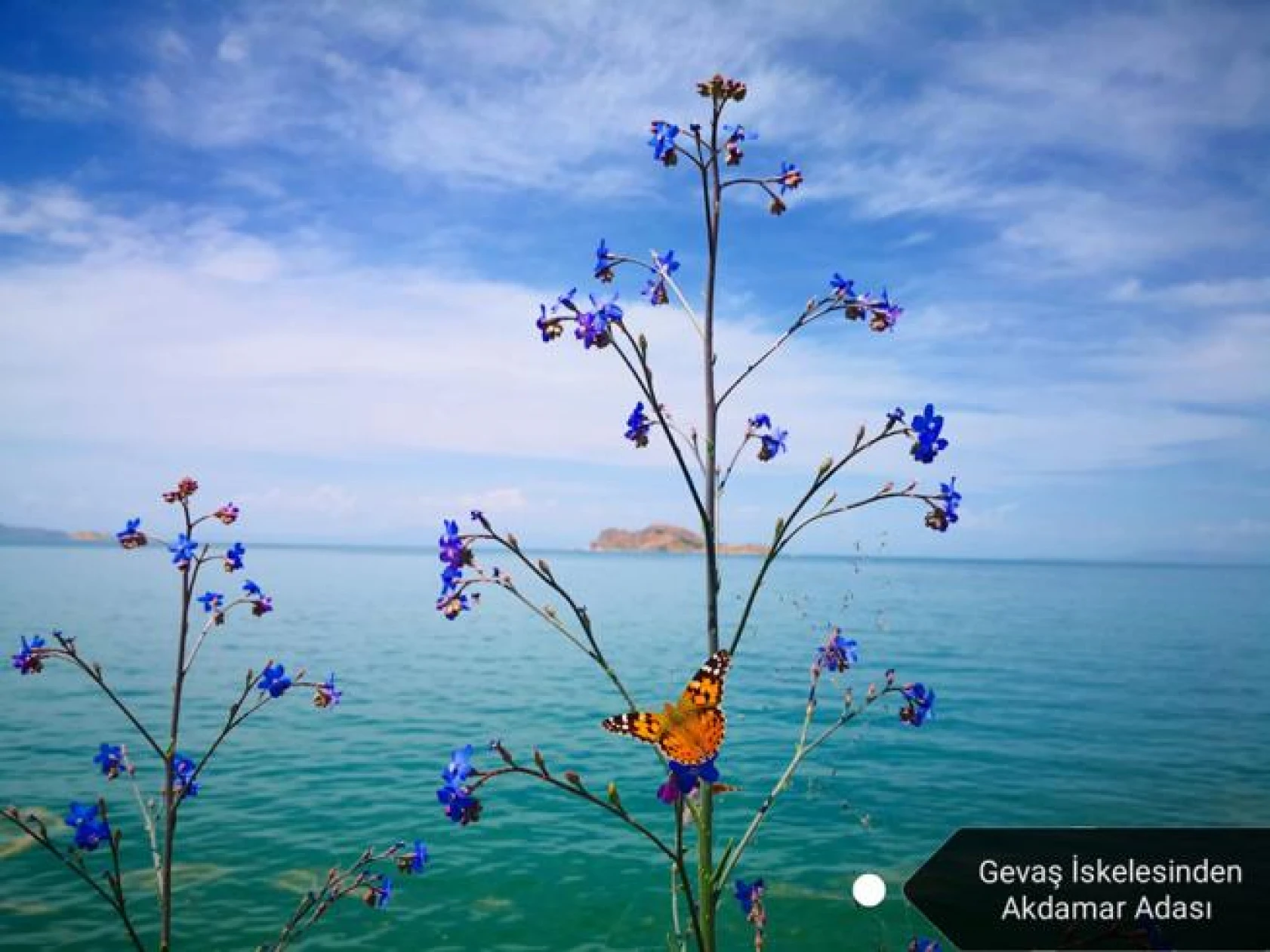 Dünyada Van, Ahirette İman!