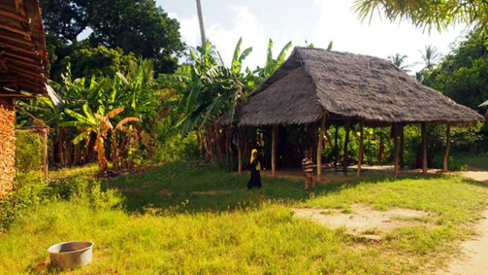 Tanzanya, Afrika'nın İncisi!