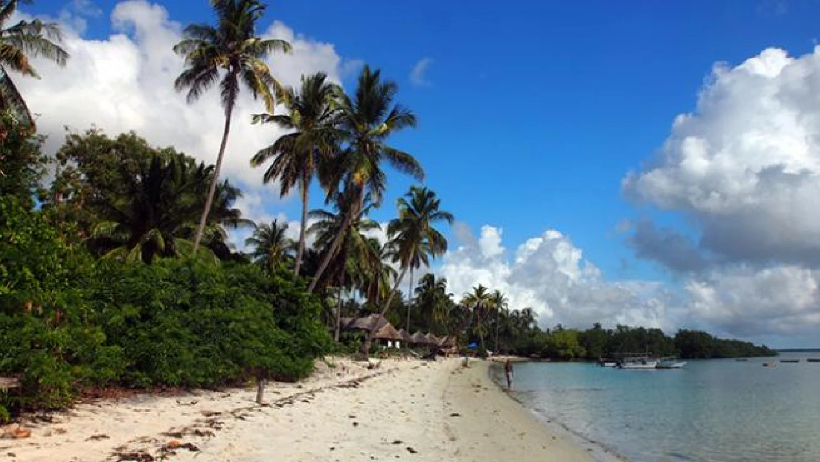 Tanzanya, Afrika'nın İncisi!