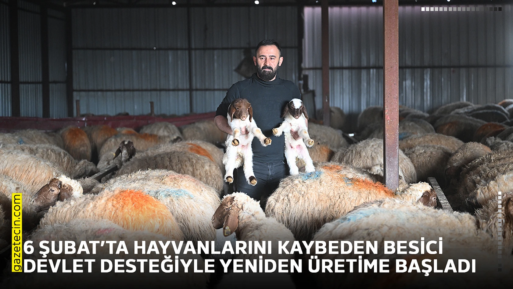 6 Şubat'ta hayvanlarını kaybeden besici devlet desteğiyle yeniden üretime başladı