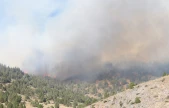 Kahramanmaraş'ta çıkan orman yangınına müdahale sürüyor