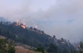 Kahramanmaraş'taki orman yangınına müdahale ikinci gününde sürüyor