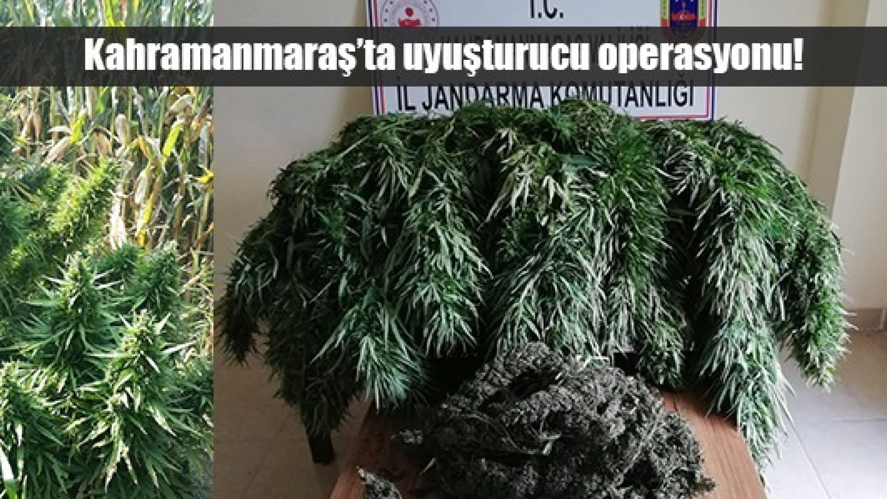 Kahramanmaraş'ta uyuşturucu operasyonu!