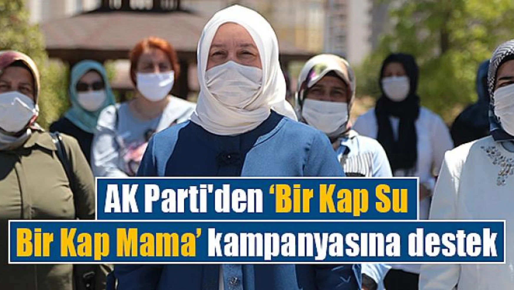 AK Parti'den 'Bir Kap Su Bir Kap Mama' kampanyasına destek