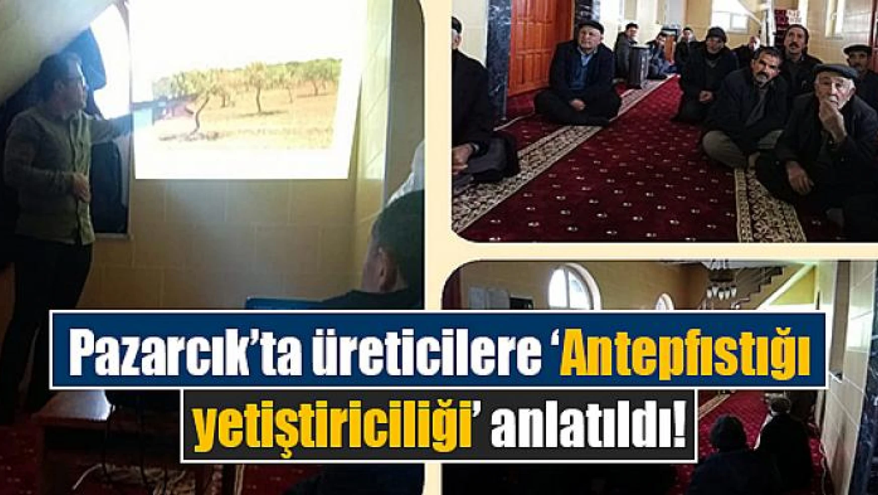 Pazarcık'ta üreticilere 'Antepfıstığı yetiştiriciliği' anlatıldı!