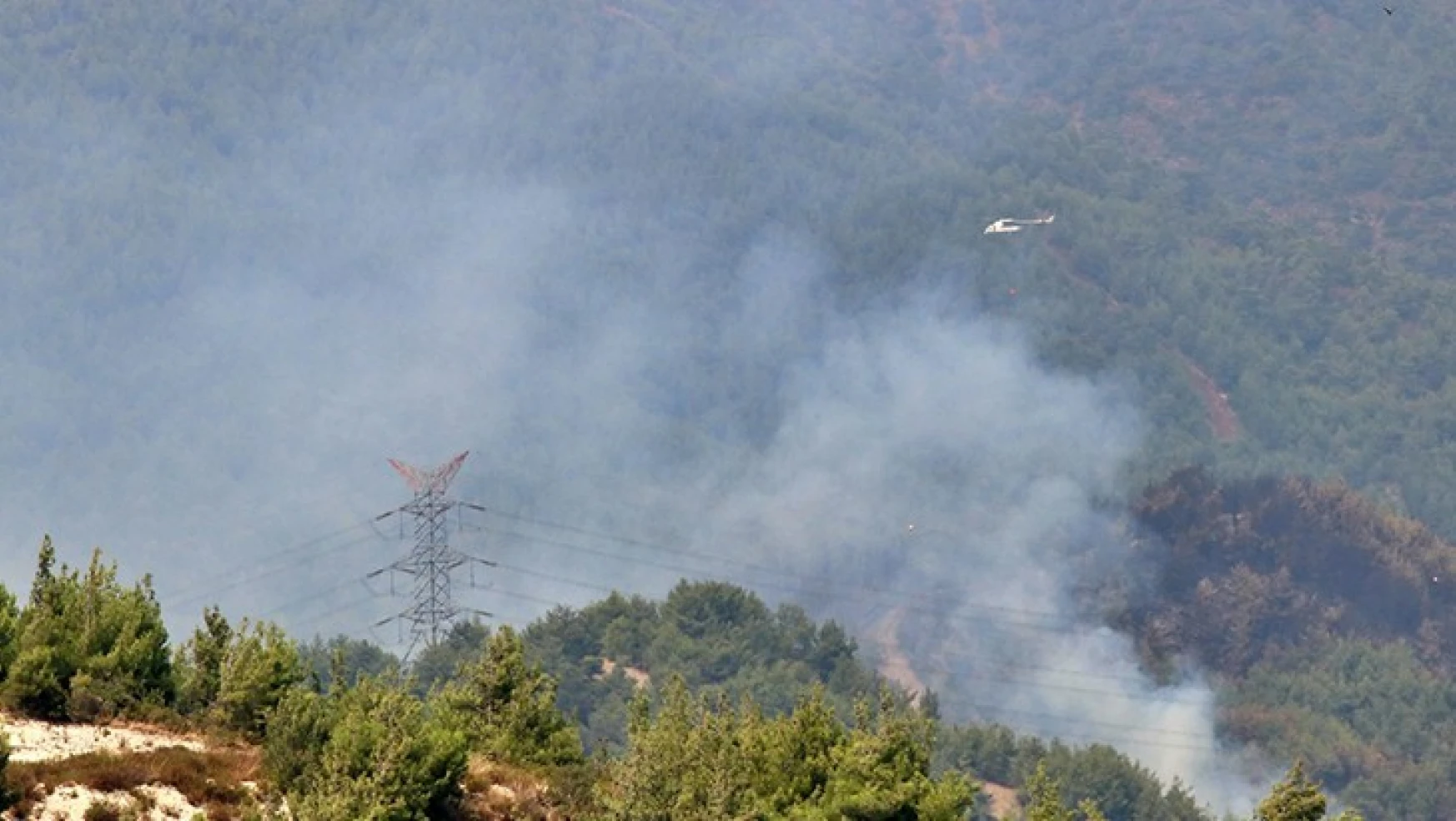 Bakan Pakdemirli'den Türkoğlu'ndaki yangınla ilgili açıklama