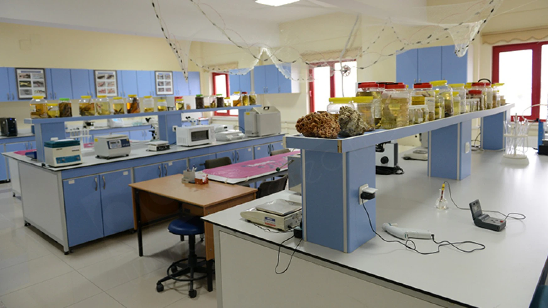 Bölgenin en modern balık hastalıkları laboratuvarı Kahramanmaraş'ta kuruldu