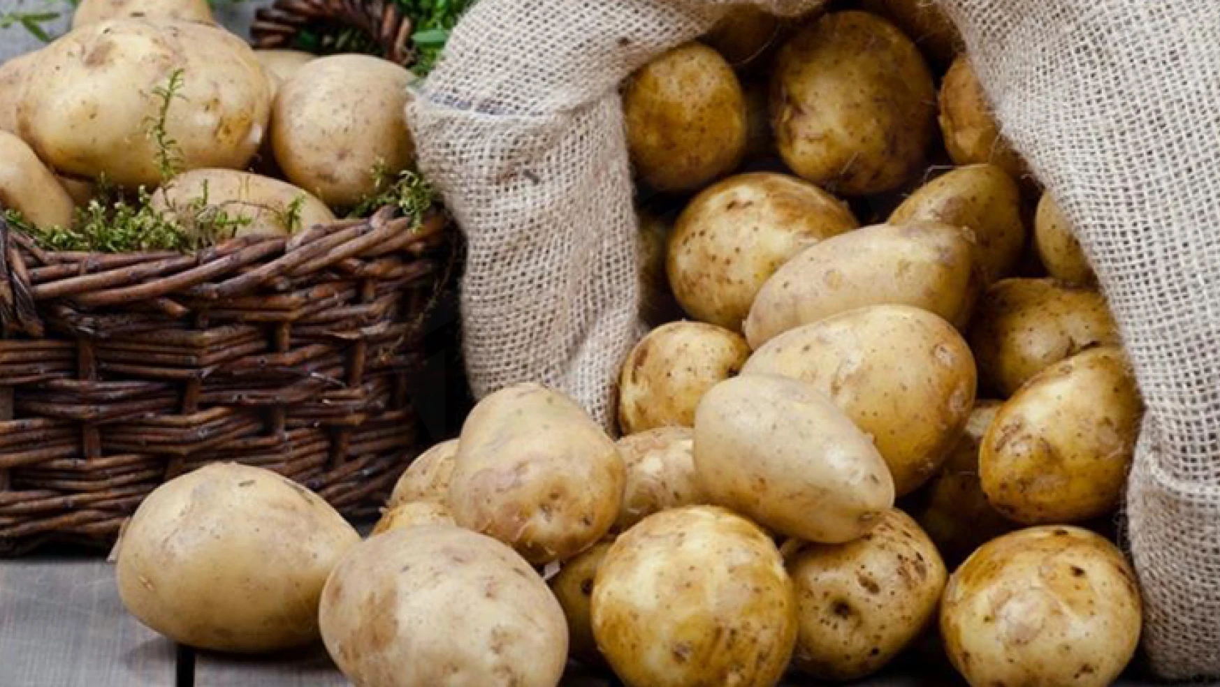 Çiftçilere patates siğiline karşı verilen desteğin tutarı artırıldı