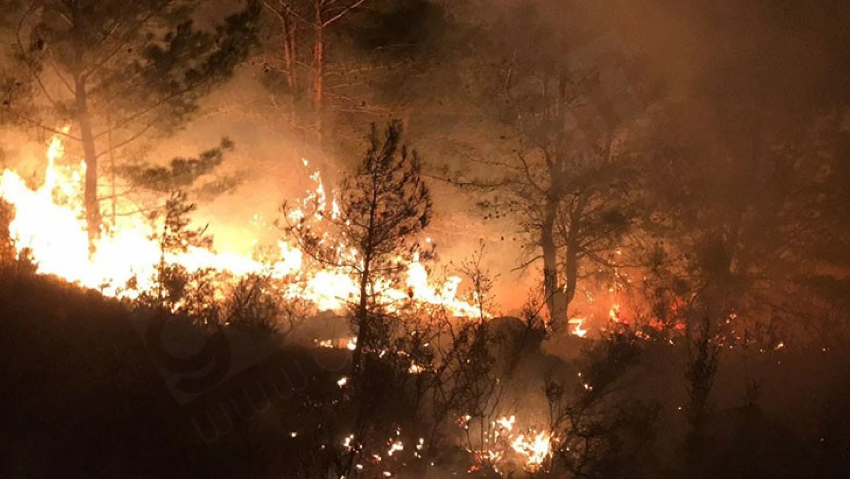 Çıkan orman yangını söndürüldü
