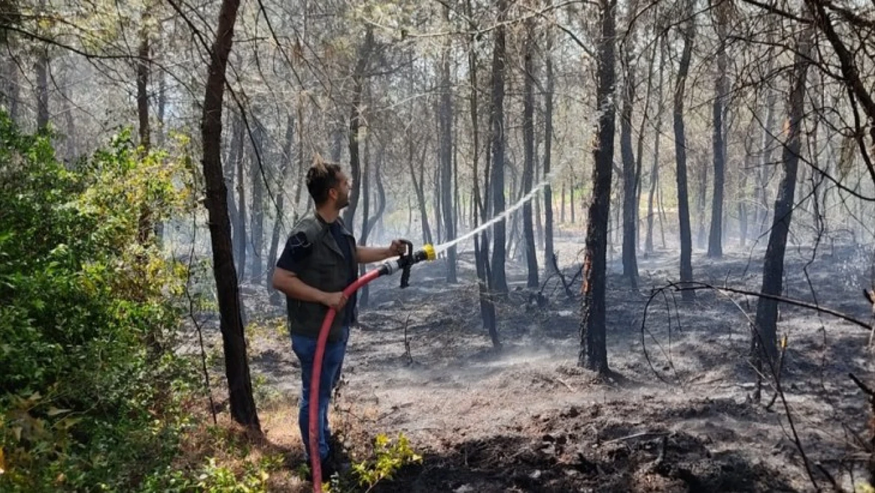 Çıkan örtü yangınına Kahramanmaraş Orman Bölge Müdürlüğü ekipleri müdahale ediyor