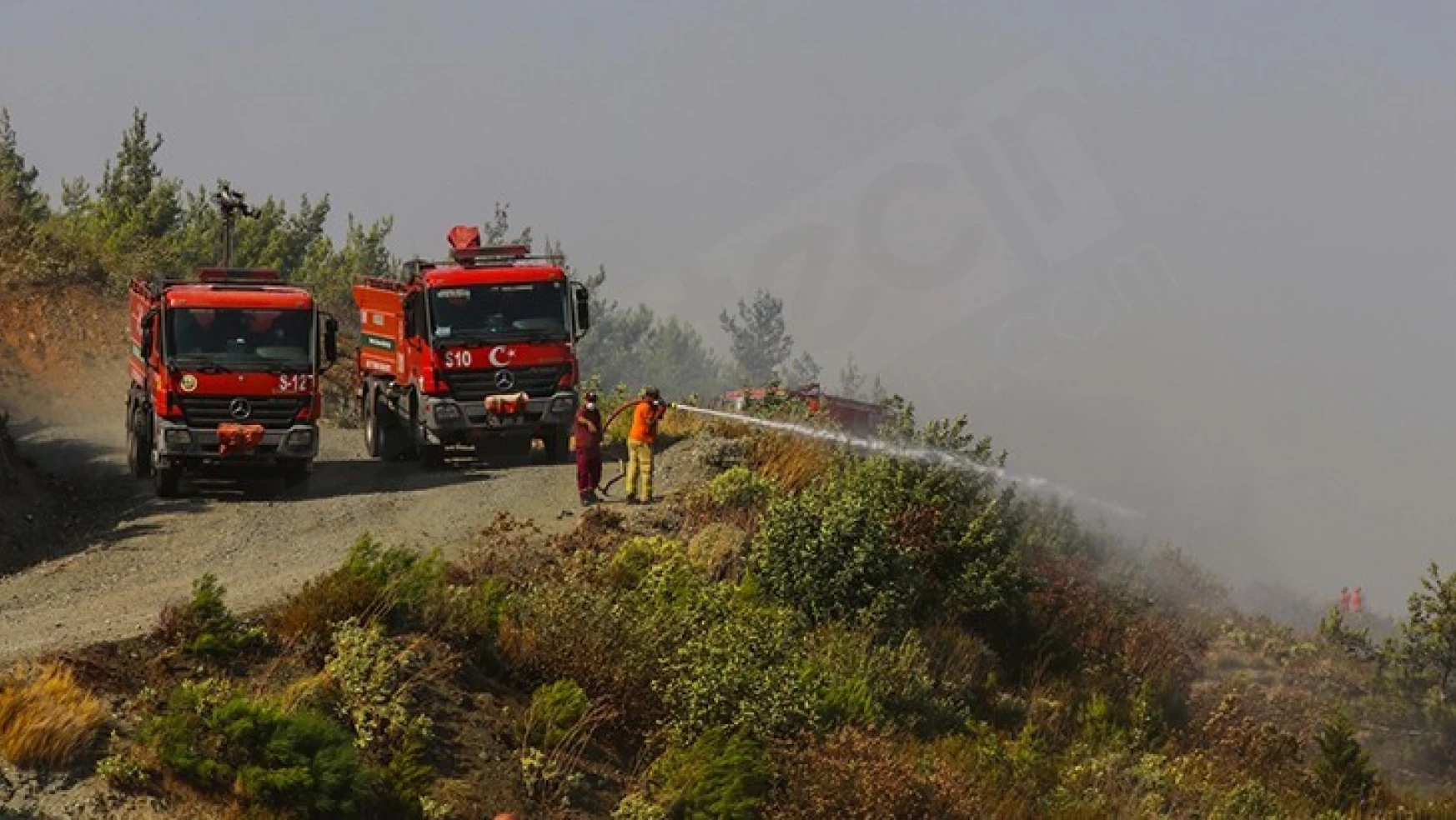 Doğu Akdeniz'de orman yangınları kontrol altına alınmaya çalışılıyor
