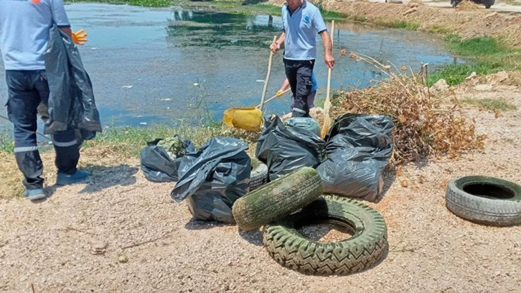 Kahramanmaraş'ta Nilüfer Çiçeklerinin bulunduğu göl atıklardan temizlendi
