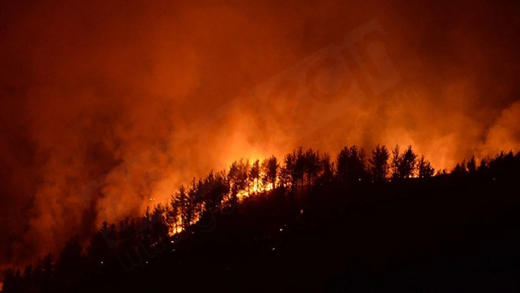Kahramanmaraş'taki orman yangınına müdahale sürüyor
