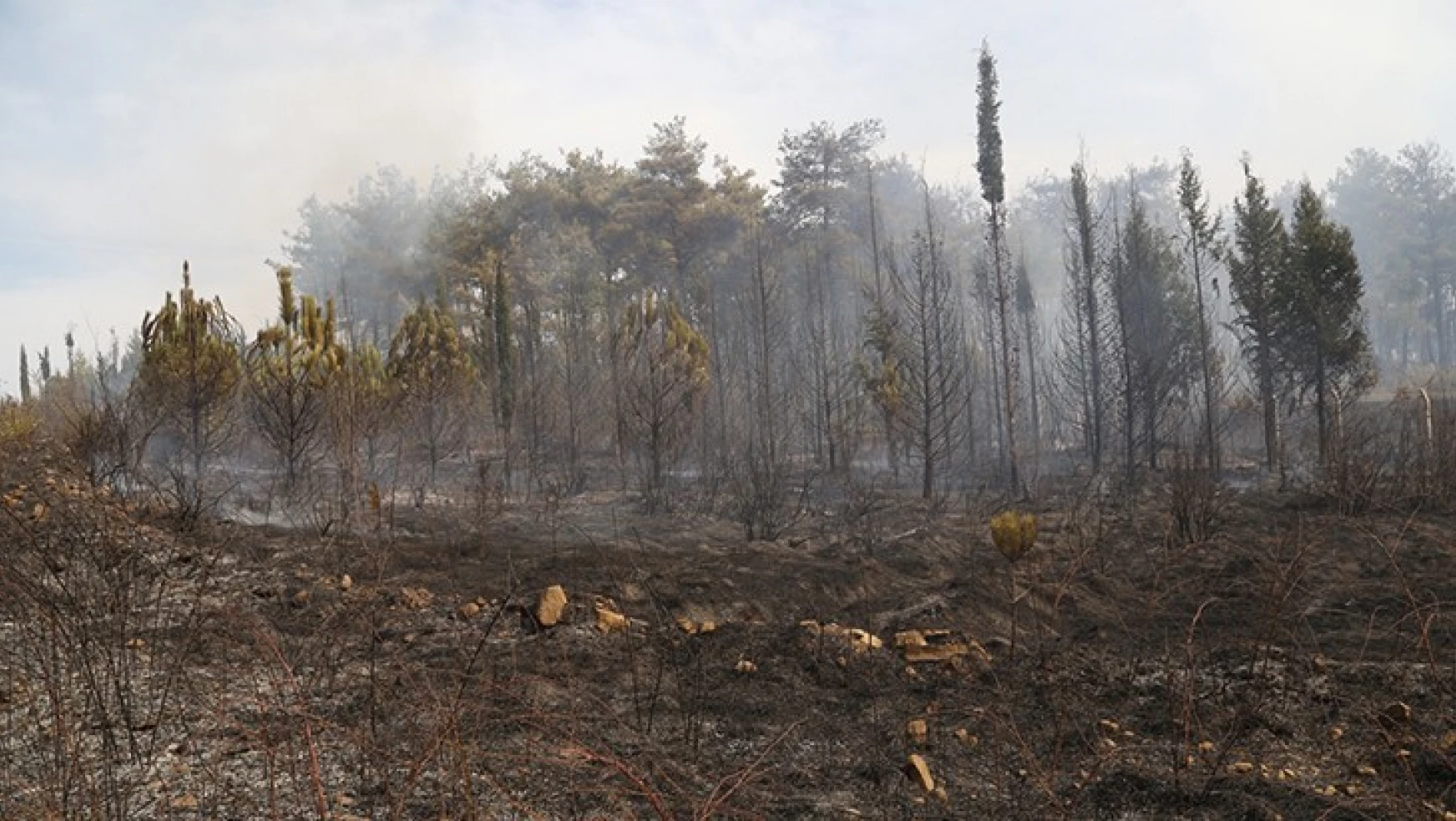 Kahramanmaraş'taki orman yangınından iyi haber geldi