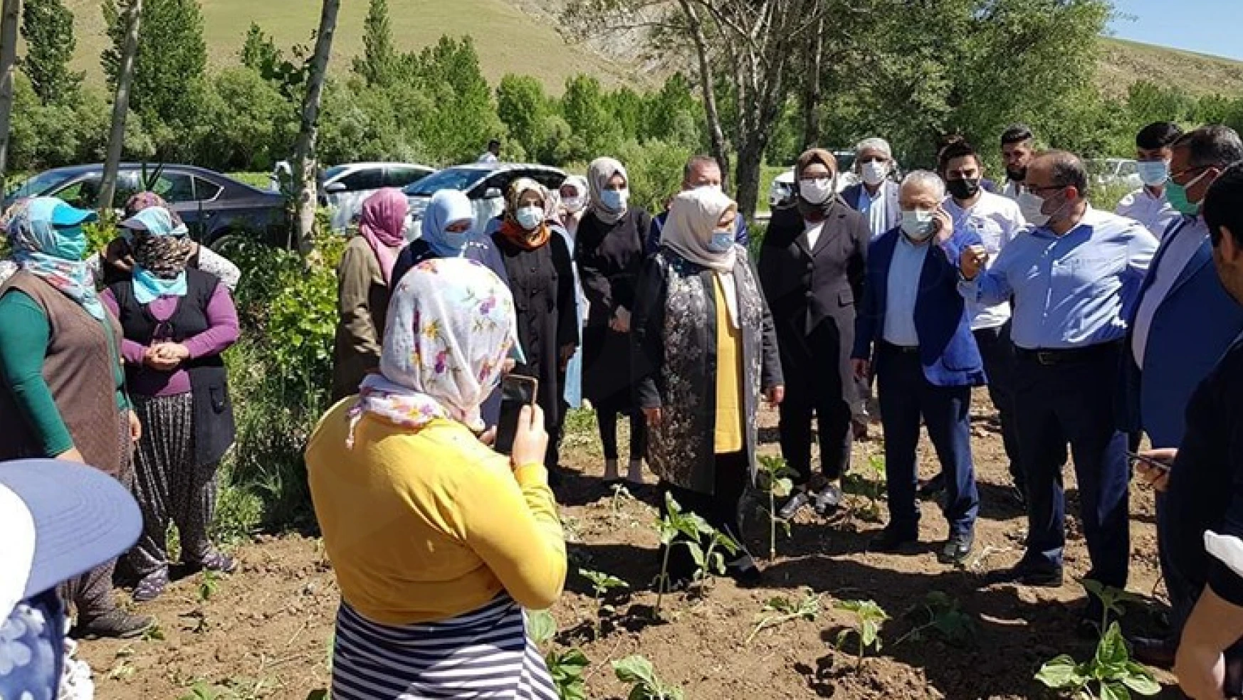 Milletvekili Öçal, Afşin'deki aromatik bitki bahçelerini inceledi