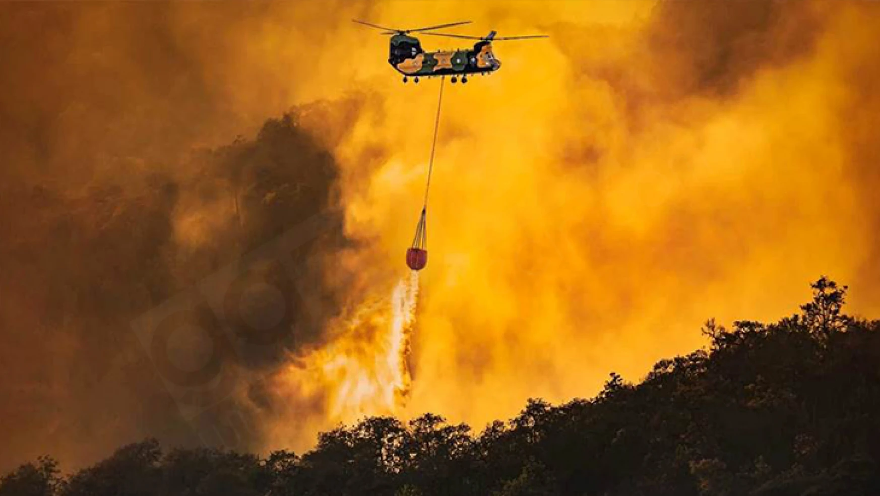 Orman yangınlarıyla mücadelede ASFAT'ın kitlerinin ihracatı başladı