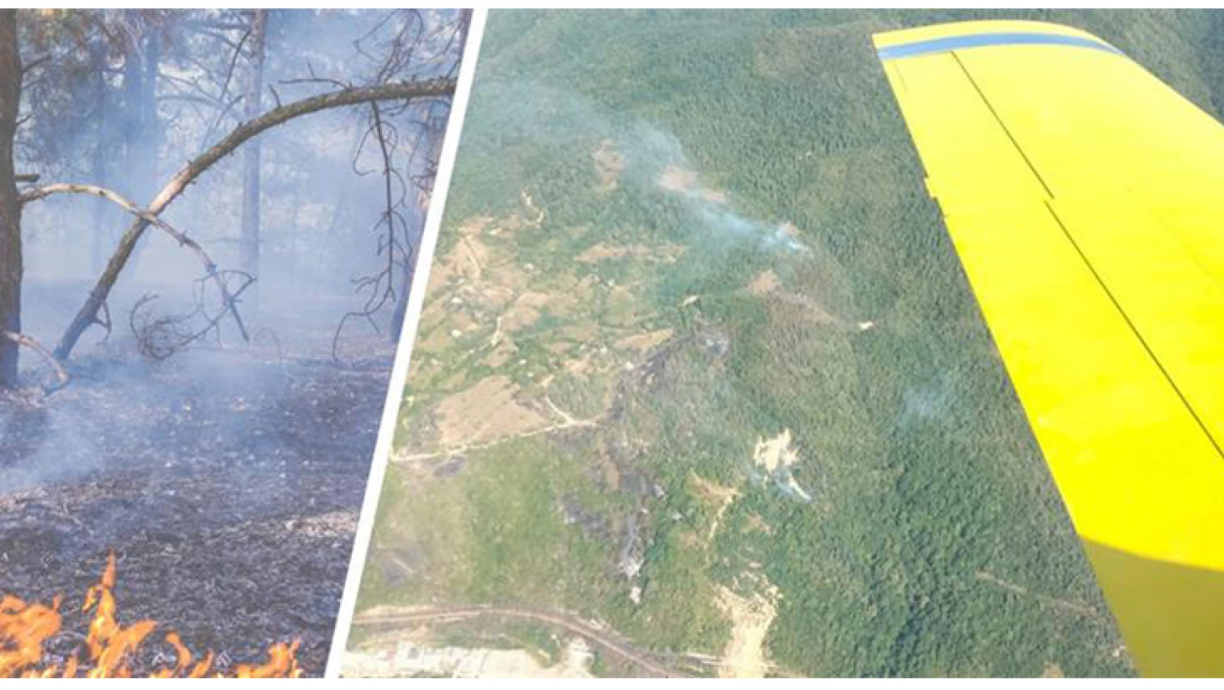 Türkiye'den Gürcistan'daki orman yangınına uçak desteği