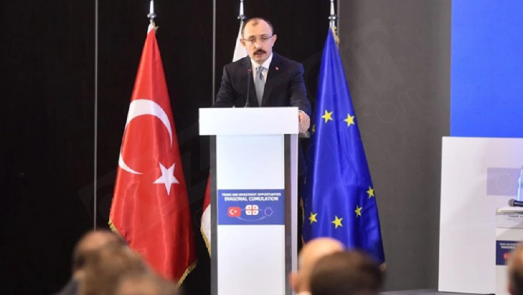 Türkiye-Gürcistan-AB ticaret ve yatırım olanakları çapraz kümülasyon toplantısı