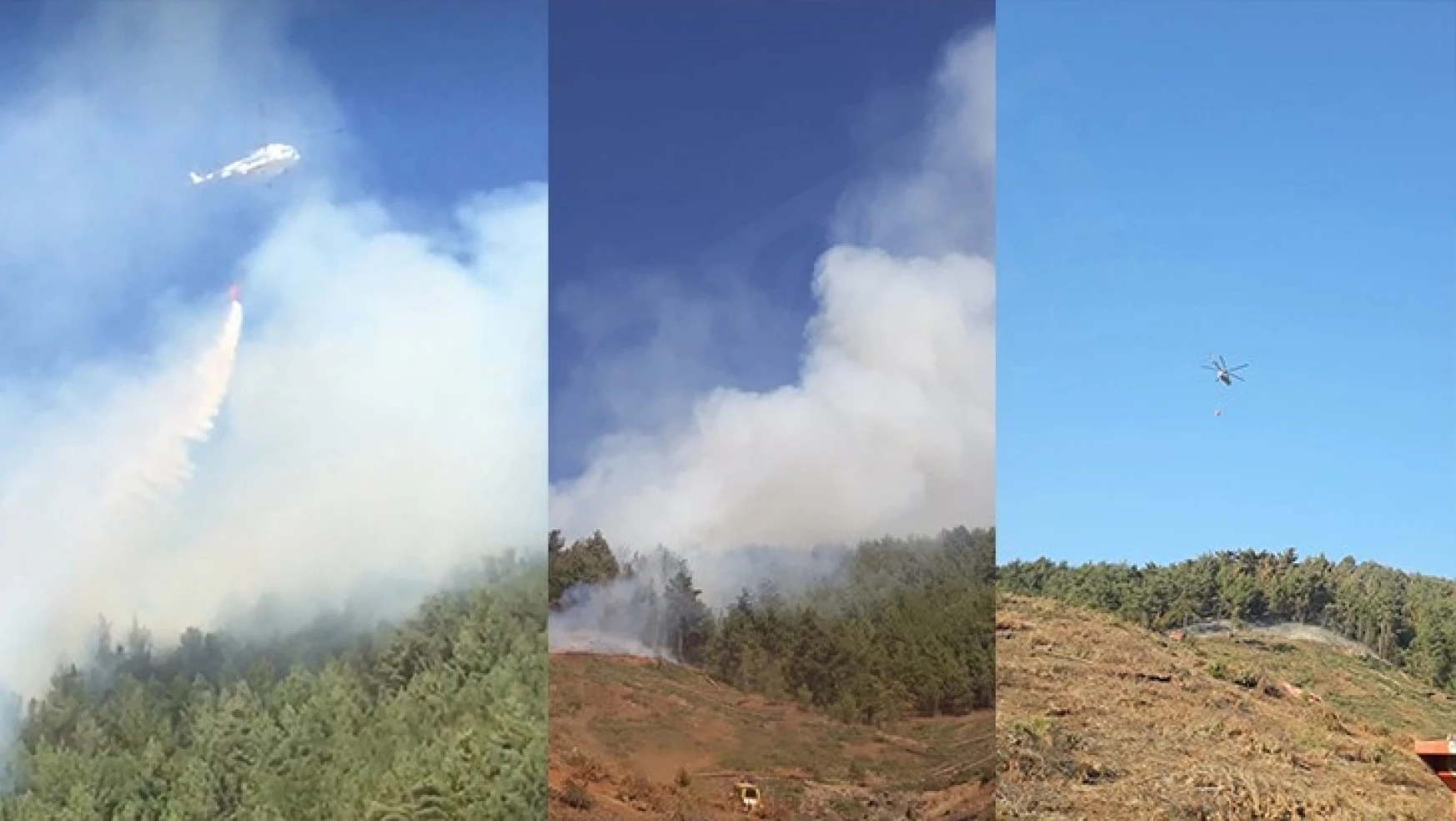 Türkoğlu'nda çıkan orman yangını söndürüldü