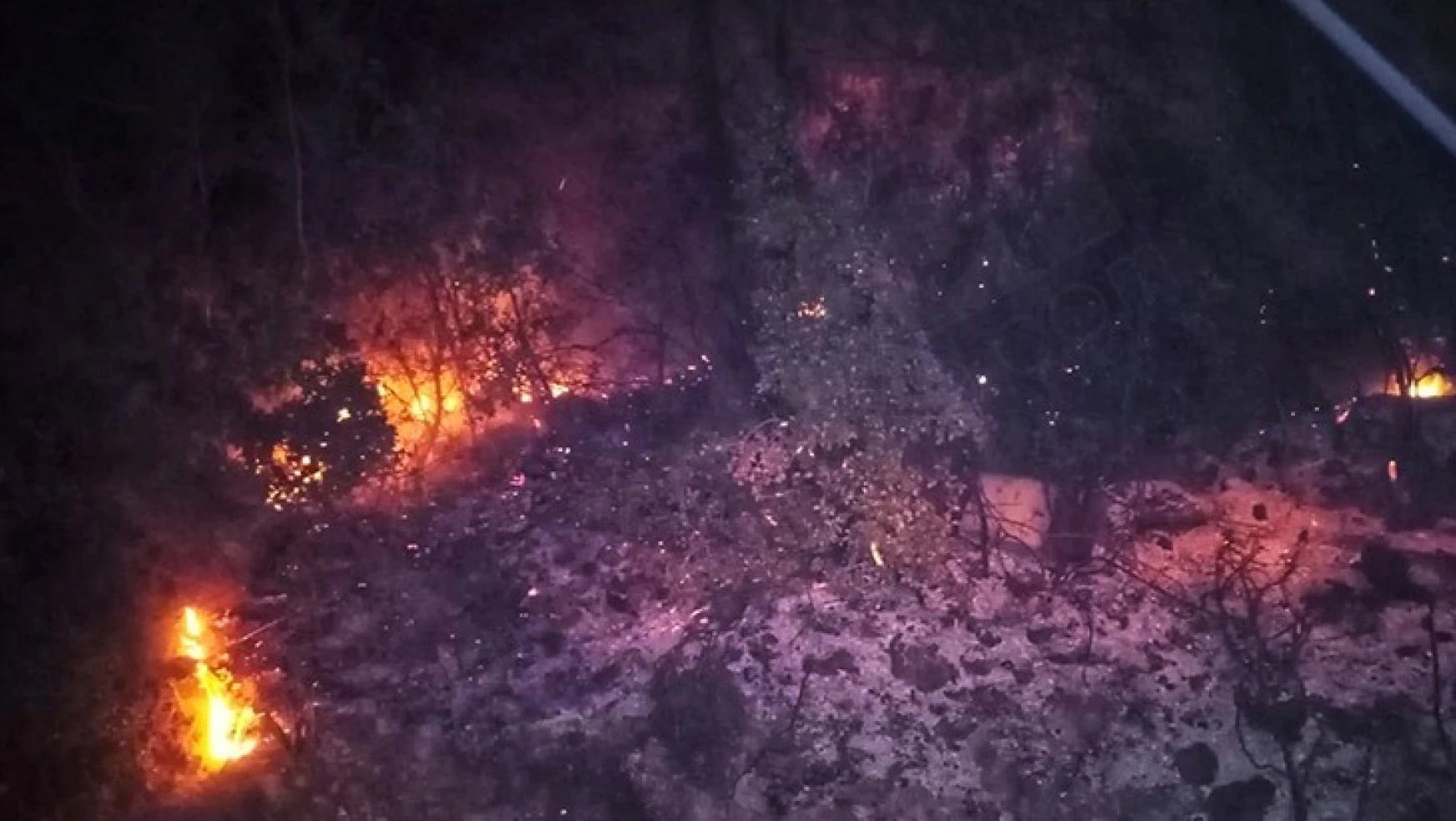Yangında 25 dönüm ormanlık alan zarar gördü