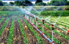 İkinci 100 günlük eylem planında DSİ'den dev projeler!