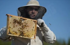 Kahramanmaraşlı bal üreticileri