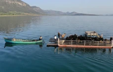 Yörüklerin Mada Adasını geçiş anı