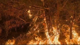 Çanakkale'de orman yangınına müdahale sürüyor