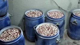 Milyonlarca uyuşturucu hap ele geçirildi