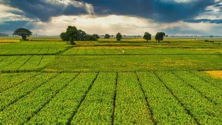 1 milyar 46 milyon TL'lik ödeme bugün hesaplarda