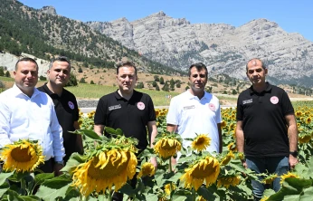 Kahramanmaraş'ta 16 bin 500 dekar ayçiçeği tarlası bereket saçıyor