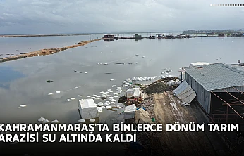 Kahramanmaraş'ta binlerce dönüm tarım arazisi su altında kaldı