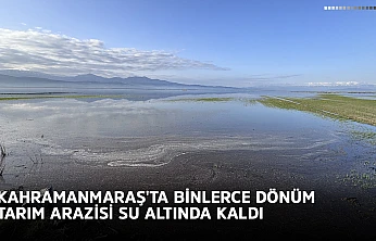 Kahramanmaraş'ta binlerce dönüm tarım arazisi su altında kaldı
