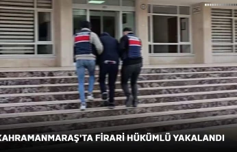 Kahramanmaraş'ta firari hükümlü yakalandı