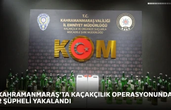Kahramanmaraş'ta kaçakçılık operasyonunda 2 şüpheli yakalandı