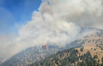 Kahramanmaraş'ta orman yangını! Havadan ve karadan müdahale başladı