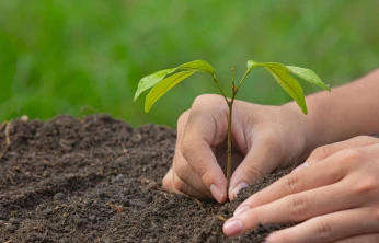 Kahramanmaraş'ta yeşil seferberlik
