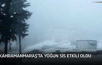 Kahramanmaraş'ta yoğun sis etkili oldu