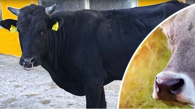 Halk Elinde Islah Projelerine toplam 2,7 milyar lira destek sağlandı