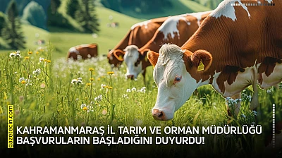 Kahramanmaraş İl Tarım ve Orman Müdürlüğü başvuruların başladığını duyurdu!