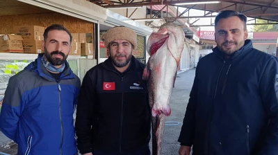Kahramanmaraş'ta insan büyüklüğünde balık yakalandı