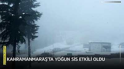 Kahramanmaraş'ta yoğun sis etkili oldu