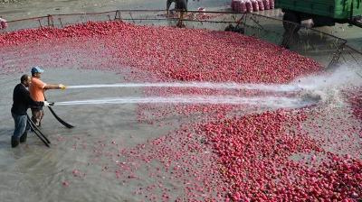 Tescilli turpları yıkama mesaisi başladı