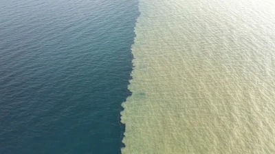 Yağışın ardından denizin rengi kahverengiye döndü