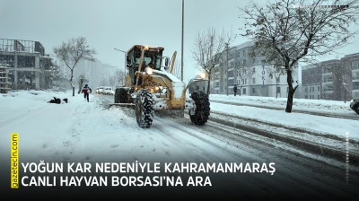 Yoğun kar nedeniyle Kahramanmaraş Canlı Hayvan Borsası'na ara