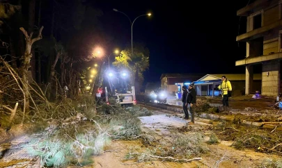 Kahramanmaraş için kuvvetli fırtına uyarısı!