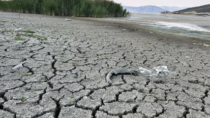 Kahramanmaraş adım adım kuraklığa doğru gidiyor!