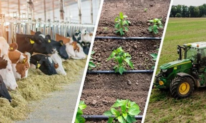 Çiftçilerin beklediği destek ödemeleri hesaplara yattı