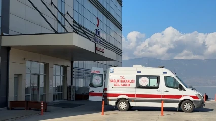 13 yaşındaki çocuk sahipsiz köpeklerin saldırısına uğradı